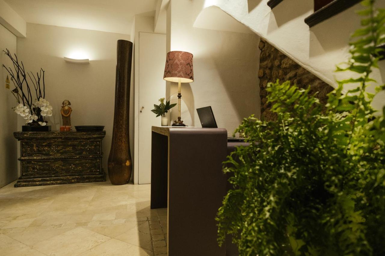 Hc6 Boutique Marbella - Adults Only酒店 外观 照片